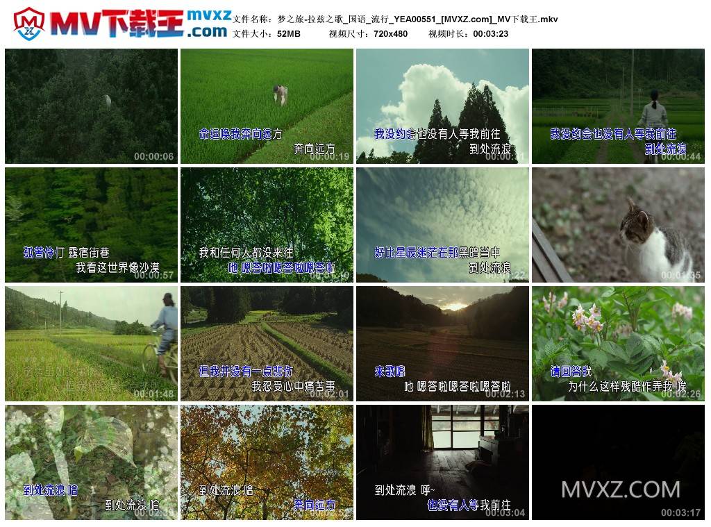 梦之旅-拉兹之歌_国语_流行_YEA00551